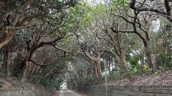 酒列磯前神社(茨城県)