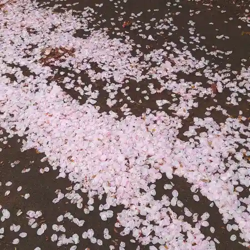 東蕗田天満社の自然