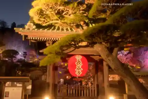 長谷寺(神奈川県)