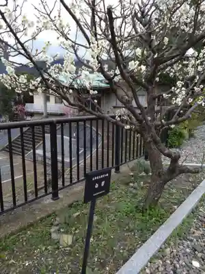 岡田神社(福岡県)