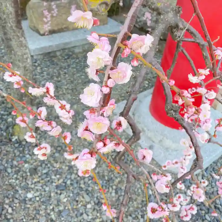 住吉神社(神奈川県)