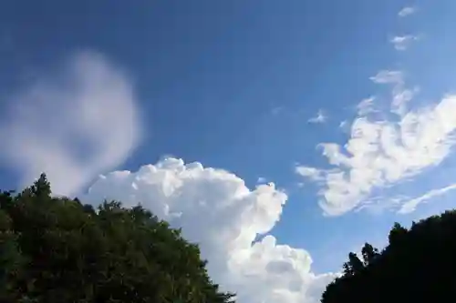鹿島大神宮の自然