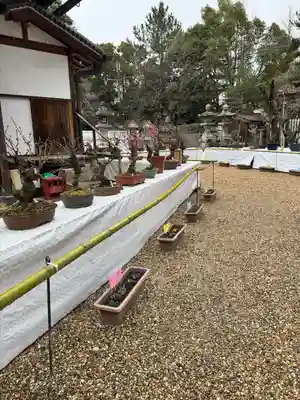 道明寺天満宮(大阪府)
