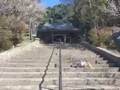 精矛神社(鹿児島県)