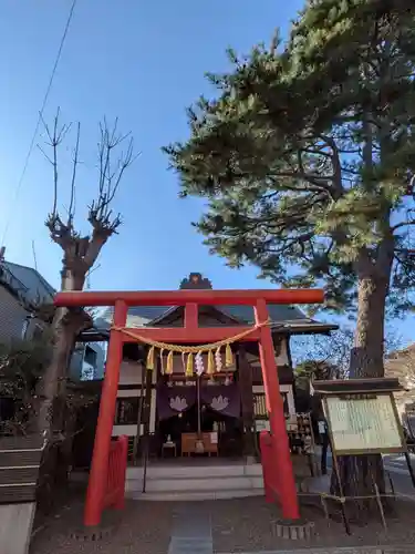猿田彦神社(東京都)