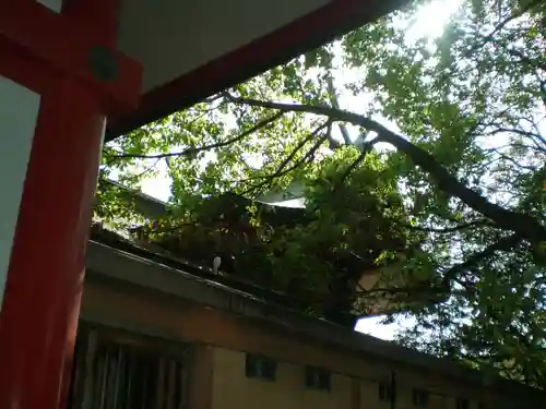 大依羅神社のその他建物