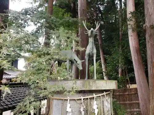 小槻神社の狛犬