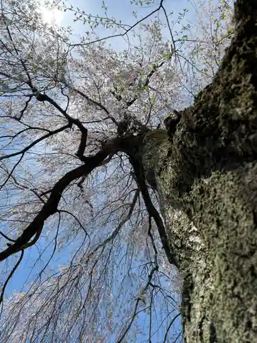 宝聚院(京都府)