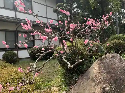 大和神社の自然