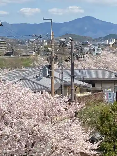 宝徳寺　(清水寺境外塔頭）の景色