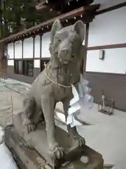 山津見神社の狛犬