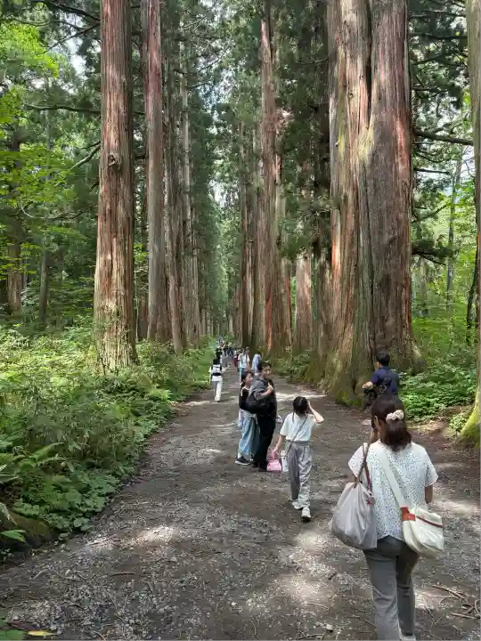 戸隠神社奥社(長野県)