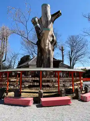 上野総社神社(群馬県)