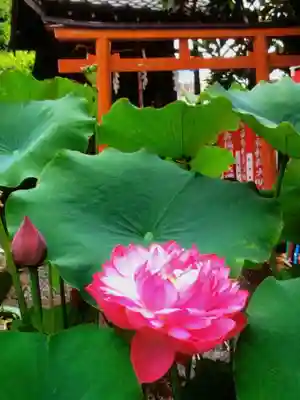 宗延寺(東京都)