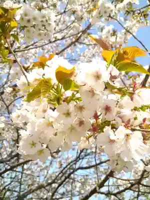 牛窓神社(岡山県)