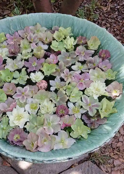 行田八幡神社の手水舎