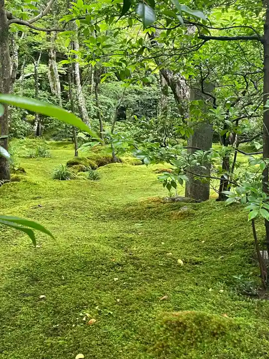 祇王寺(京都府)
