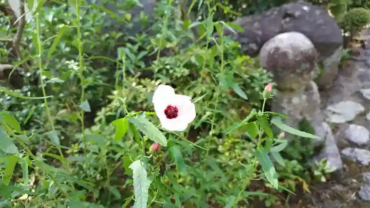 霊源院(京都府)