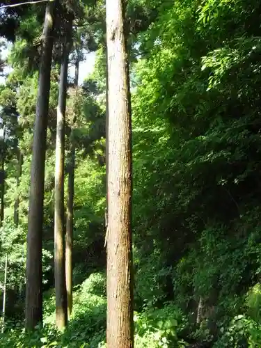 御霊神社の自然