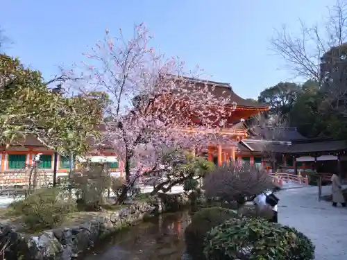 賀茂別雷神社（上賀茂神社）の{uncategorized: "未分類", other: "その他", undefined: "問題あり", building: "その他建物", grave: "お墓", sacred_gate: "鳥居", guardian: "狛犬", statue: "像", buddha: "仏像", history: "歴史", nature: "自然", garden: "庭園", animal: "動物", pagoda: "塔", temizu: "手水舎", mountain_gate: "山門・神門", sanctuary: "本殿・本堂", subordinate: "末社・摂社", art: "芸術", scenery: "景色", jizo: "地蔵", ema: "絵馬", goshuin: "御朱印", omikuji: "おみくじ", items: "授与品その他", amulet: "お守り", goshuincho: "御朱印帳", eats: "食事", festival: "お祭り", votive_dance: "神楽", shichigosan: "七五三参", wedding: "結婚式", experience: "体験その他", initially: "初詣", around: "周辺", anti_infection: "感染症対策"}