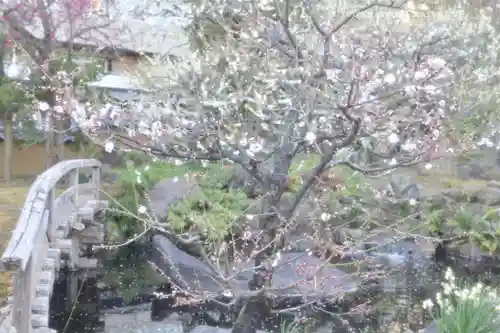 湯島天満宮(東京都)