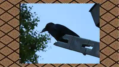 電気神社(茨城県)