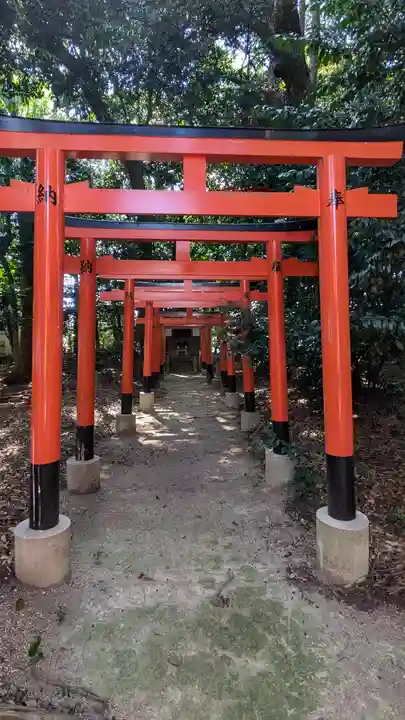 若宮八幡宮(滋賀県)