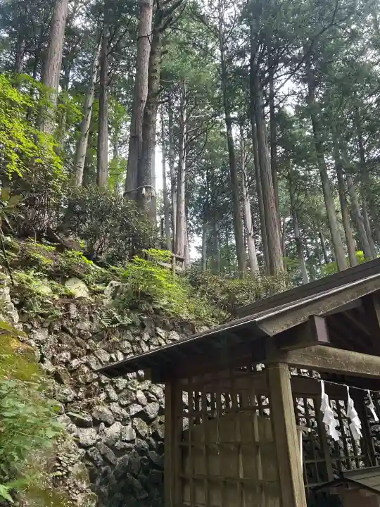 三峯神社(埼玉県)