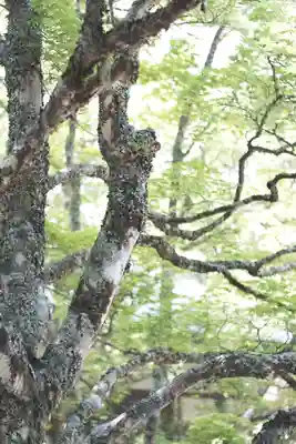 高野山金剛峯寺(和歌山県)
