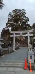 日高神社(岩手県)