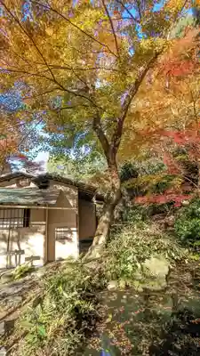 来迎院(京都府)