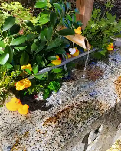 諏訪八幡神社の手水舎