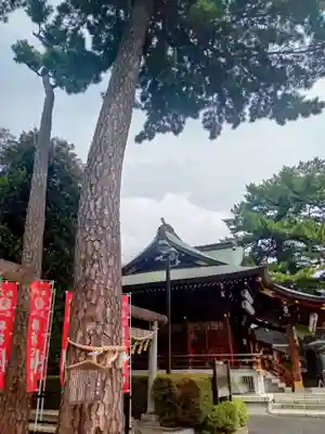 中野沼袋氷川神社(東京都)