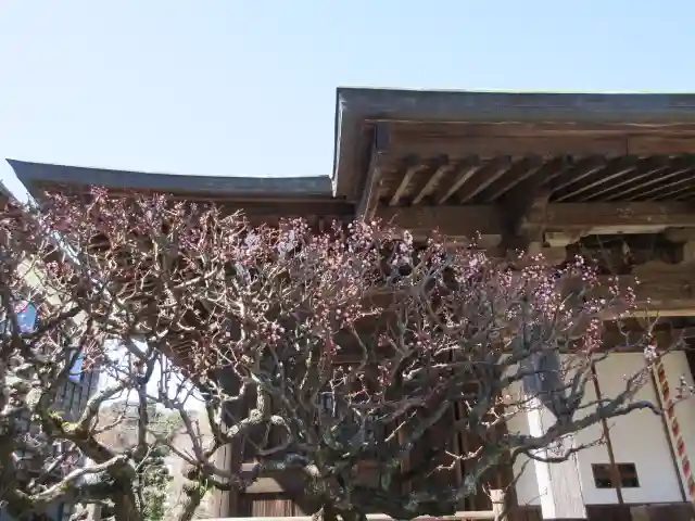 極楽寺(霊鷲山感應院極楽律寺)のその他建物