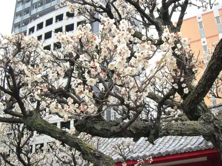 菅原神社(福岡県)