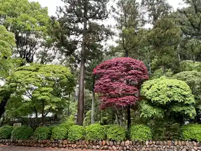 高麗神社(埼玉県)