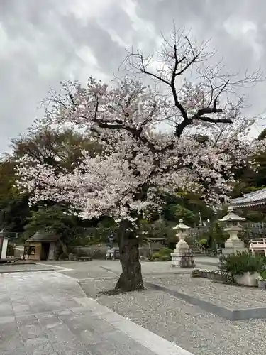 弘誓院(神奈川県)