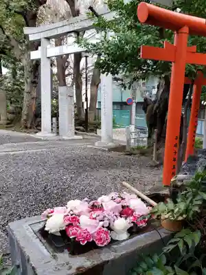 本郷氷川神社(東京都)