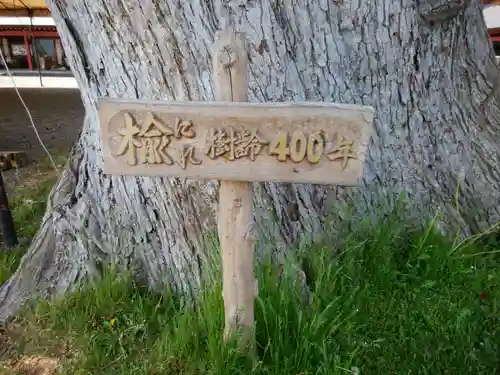 北海道護國神社の自然