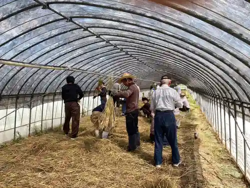美奈宜神社(福岡県)