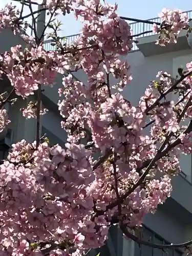 総持寺の{uncategorized: "未分類", other: "その他", undefined: "問題あり", building: "その他建物", grave: "お墓", sacred_gate: "鳥居", guardian: "狛犬", statue: "像", buddha: "仏像", history: "歴史", nature: "自然", garden: "庭園", animal: "動物", pagoda: "塔", temizu: "手水舎", mountain_gate: "山門・神門", sanctuary: "本殿・本堂", subordinate: "末社・摂社", art: "芸術", scenery: "景色", jizo: "地蔵", ema: "絵馬", goshuin: "御朱印", omikuji: "おみくじ", items: "授与品その他", amulet: "お守り", goshuincho: "御朱印帳", eats: "食事", festival: "お祭り", votive_dance: "神楽", shichigosan: "七五三参", wedding: "結婚式", experience: "体験その他", initially: "初詣", around: "周辺", anti_infection: "感染症対策"}