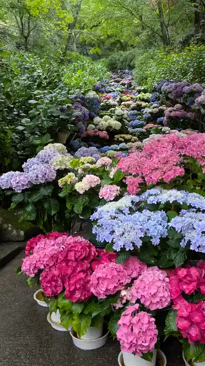 長谷寺(奈良県)