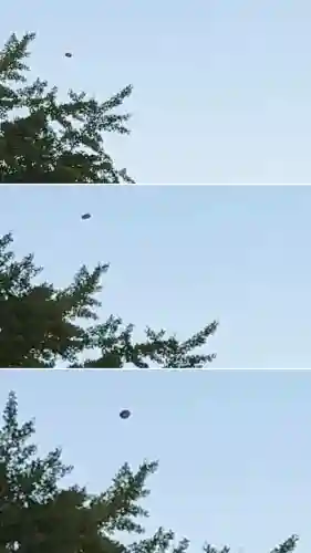 函館八幡宮(北海道)