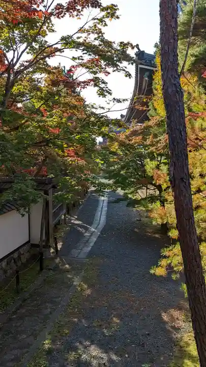 清凉寺(京都府)