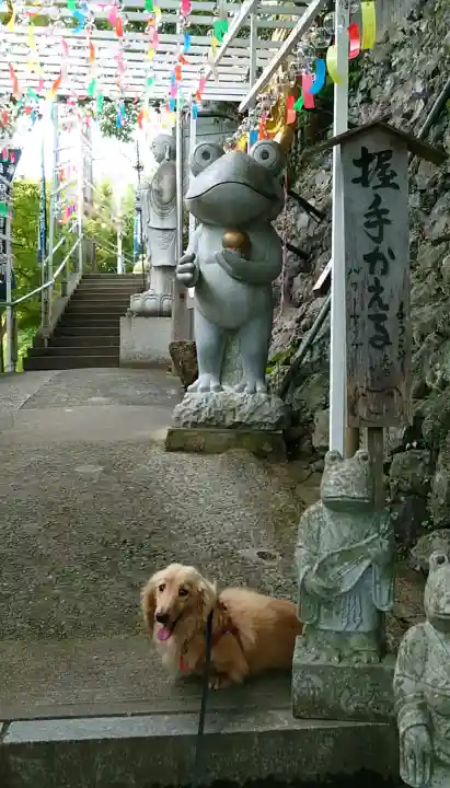 正法寺の{uncategorized: "未分類", other: "その他", undefined: "問題あり", building: "その他建物", grave: "お墓", sacred_gate: "鳥居", guardian: "狛犬", statue: "像", buddha: "仏像", history: "歴史", nature: "自然", garden: "庭園", animal: "動物", pagoda: "塔", temizu: "手水舎", mountain_gate: "山門・神門", sanctuary: "本殿・本堂", subordinate: "末社・摂社", art: "芸術", scenery: "景色", jizo: "地蔵", ema: "絵馬", goshuin: "御朱印", omikuji: "おみくじ", items: "授与品その他", amulet: "お守り", goshuincho: "御朱印帳", eats: "食事", festival: "お祭り", votive_dance: "神楽", shichigosan: "七五三参", wedding: "結婚式", experience: "体験その他", initially: "初詣", around: "周辺", anti_infection: "感染症対策"}