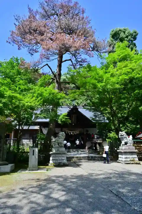 春日山神社(新潟県)