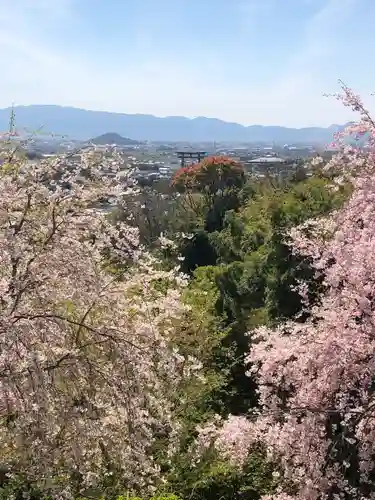 大神神社(奈良県)