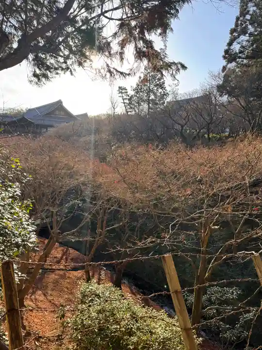 東福禅寺(東福寺)(京都府)