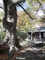愛宕神社のその他建物
