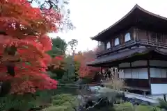 慈照寺（慈照禅寺・銀閣寺）(京都府)